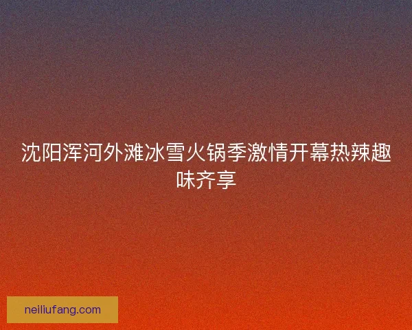 沈阳浑河外滩冰雪火锅季激情开幕热辣趣味齐享